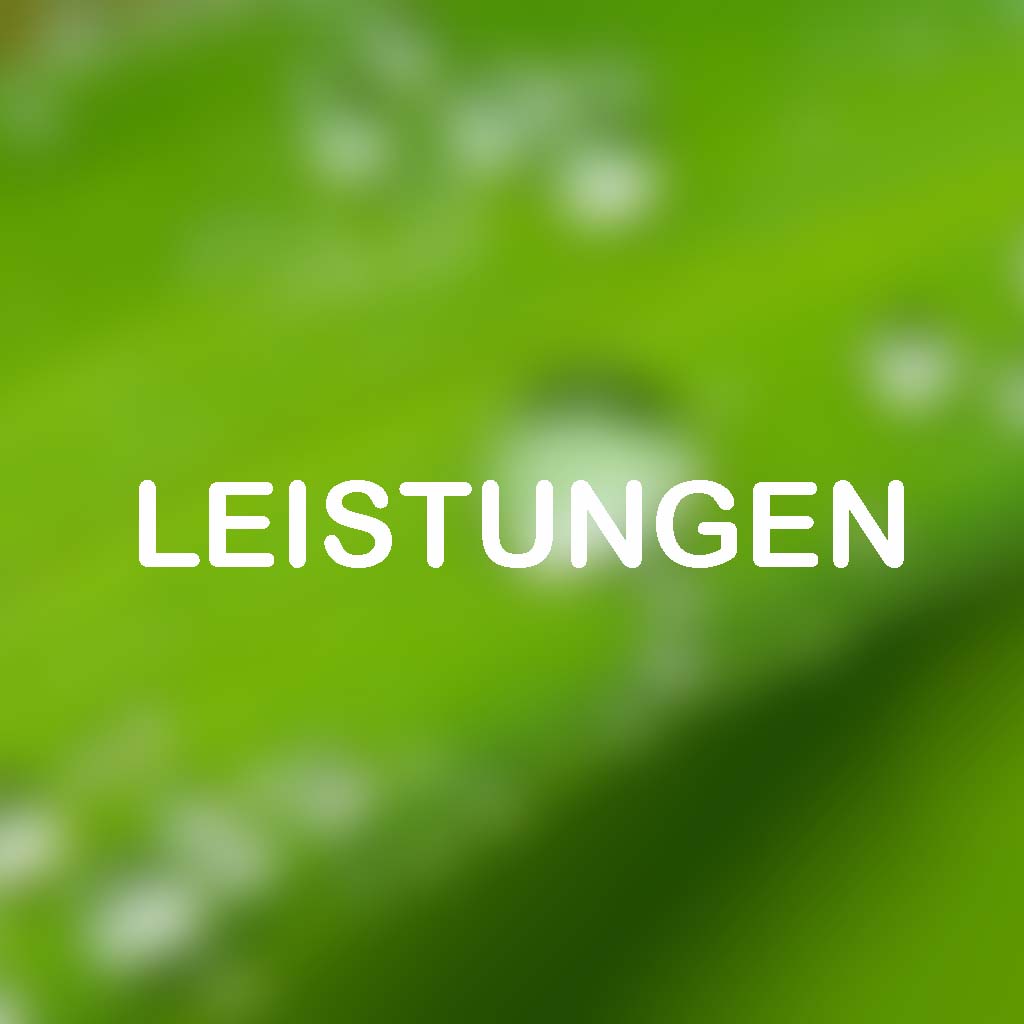 Leistungen